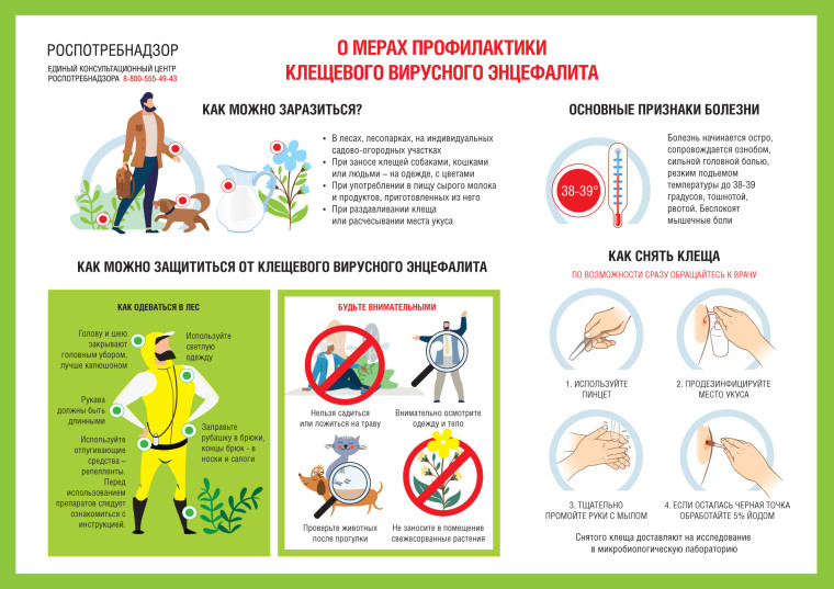 Мал, но опасен!.